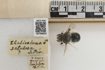 Media type: image;   Entomology 788824 Aspect: Labels